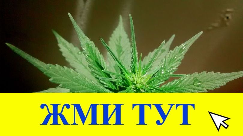 Купить наркотики в Тюкалинске